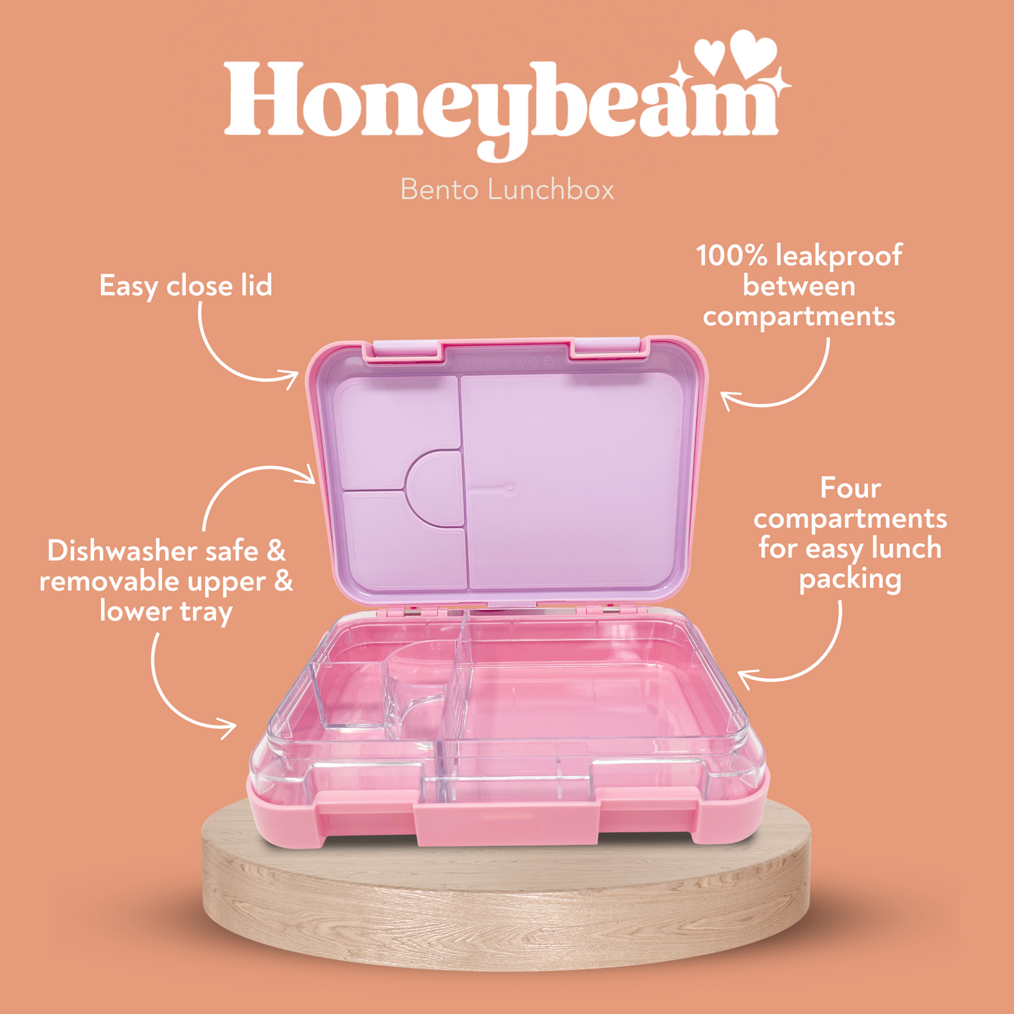 The Bento Box