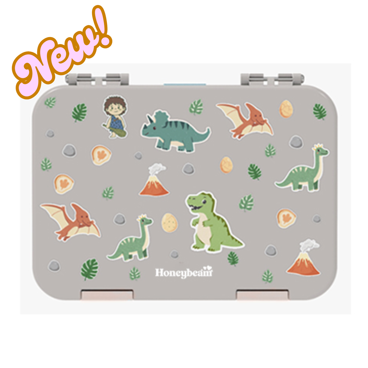 The Bento Box