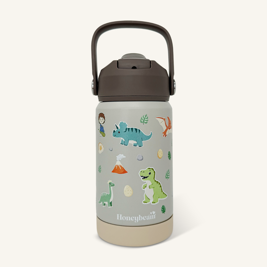 Dinosaur Dreams Kids Stainless Steel Water Bottle With Straw 350ml